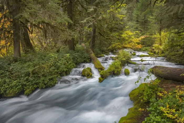 Framed Print : Rushing water in pristine Olallie Creek near McKenzie River, Willamette National Forest