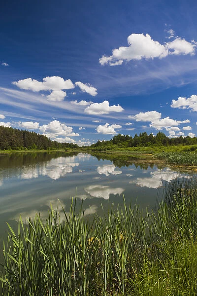 Russia, Pskovskaya Oblast, Pushkinskie Gory, lake at Mikhailovskoye, the Alexander Pushkin Preserve