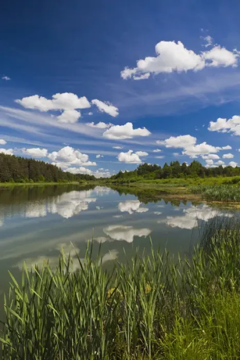 Framed Print : Russia, Pskovskaya Oblast, Pushkinskie Gory, lake at Mikhailovskoye, the Alexander Pushkin Preserve