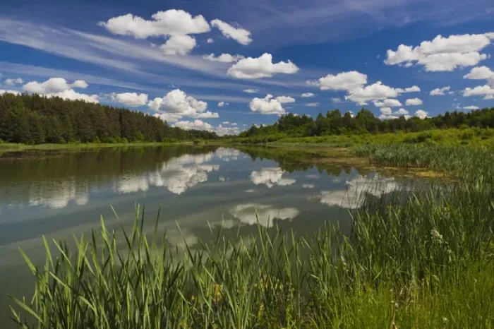Framed Print : Russia, Pskovskaya Oblast, Pushkinskie Gory, lake at Mikhailovskoye, the Alexander Pushkin Preserve