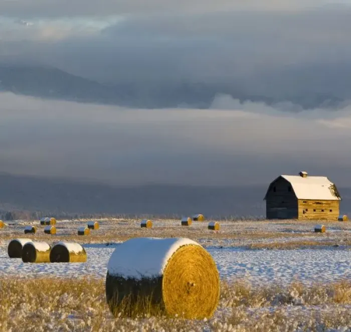 Framed Print : Rustic barn and hay bales after a fresh snow in the Mission Valley of Montana Framed Print : Rustic barn and hay bales after a fresh snow in the Mission Valley of Montana