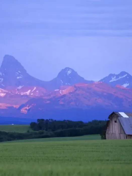 Framed Print : Rustic barn sits in green wheat field while Teton Mountain Range catches dramatic Framed Print : Rustic barn sits in green wheat field while Teton Mountain Range catches dramatic