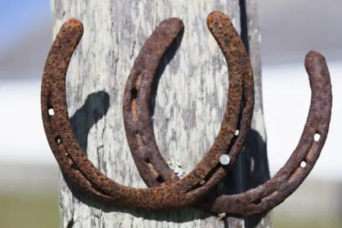 Framed Print : Two rusty horseshoes. Point Reyes National Seashore, California