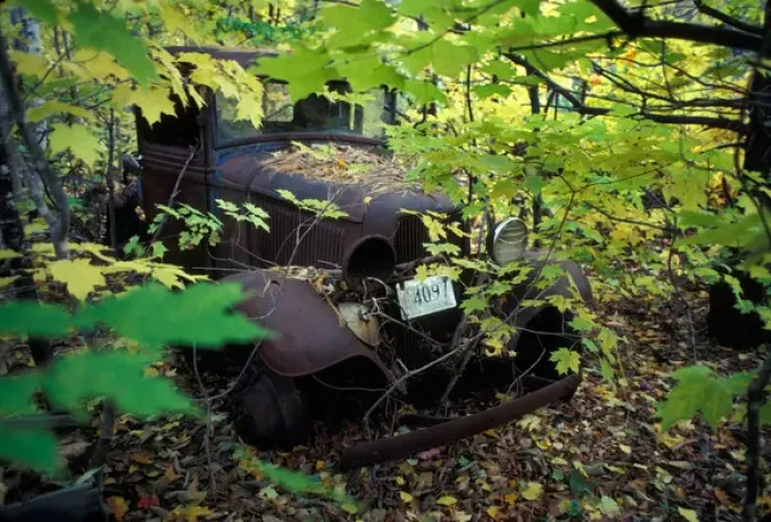 Framed Print : Rusty old Ford hidden in the back forests of Vermont Framed Print : Rusty old Ford hidden in the back forests of Vermont