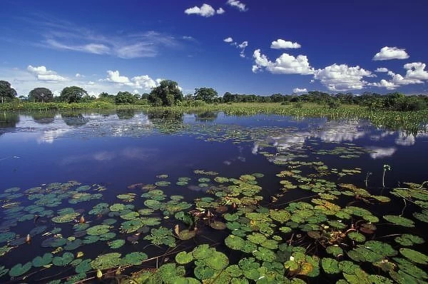 S. A. Brazil, Waterways in Pantanal