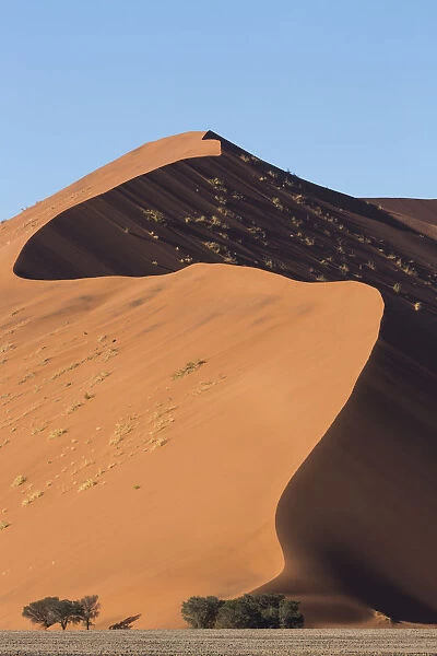 An s-curve on a tall orange-sand dune in Sossusvlei within Namib-Naukluft National Park