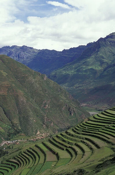 SA, Peru, Urubamba Valley, ruins of Picas Fields terraced by the Incas, ruins of Picac