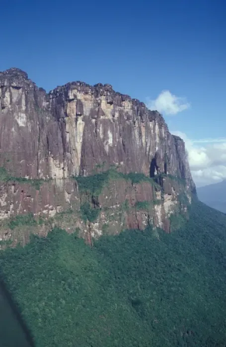 Framed Print : SA, Venezuela, Angel Falls area, rainforest