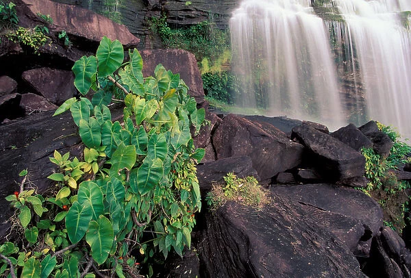 SA, Venezuela, Canaima National Park, Hacha Falls
