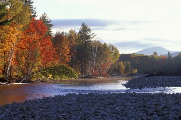 Framed Print : Saco River. Cobble beach. White Mountain N. F. Bartlett, NH