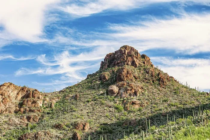 Framed Print : Saguaro National Park around Tucson, Arizona Framed Print : Saguaro National Park around Tucson, Arizona