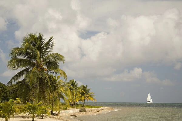 Sailboat on Caribbean Sea, viewed from Chabil Mar Villas, Placencia, Stann Creek District