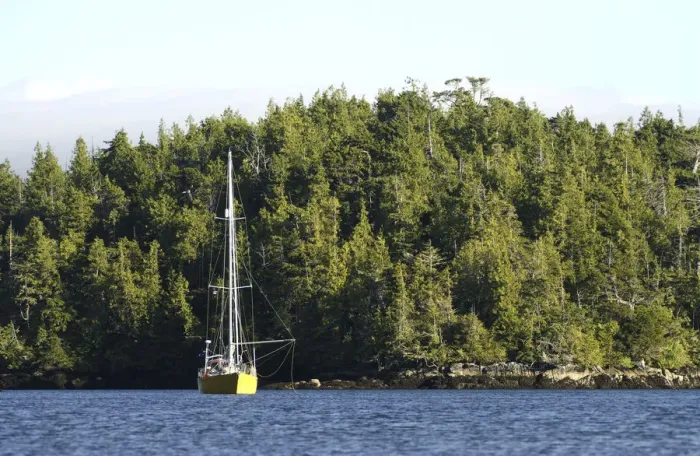 Framed Print : Sailboat Gunkholing in Skull Cove, Queen Charlotte Strait, British Columbia, Canada Framed Print : Sailboat Gunkholing in Skull Cove, Queen Charlotte Strait, British Columbia, Canada