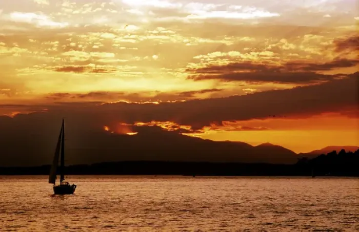 Framed Print : A sailboat sails into the setting sun on Seattles Elliot Bay Framed Print : A sailboat sails into the setting sun on Seattles Elliot Bay