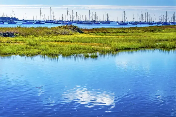 Framed Print : Sailboats Boats Moorings Green Marsh, Padanaram Harbor, Buzzards Bay, Dartmouth