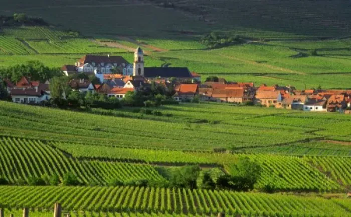 Framed Print : Saint Hypolyte, Haut-Rhin, Alsace, France, vineyards