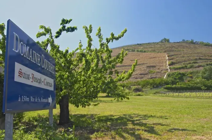 Framed Print : Saint Joseph vineyards in Chateaubourg with a sign to Domaine Courbis also making Cornas