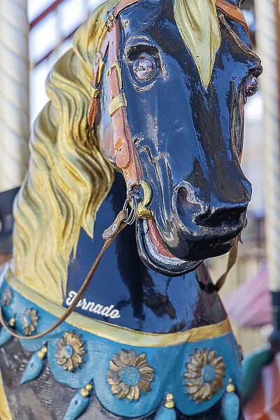 Saintes-Maries-de-la-Mer, Bouches-du-Rhone, Provence-Alpes-Cote d'Azur, France. Carousel horse. (Editorial Use Only)