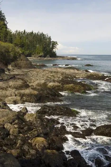 Framed Print : Salt Creek Recreation Area, Clallam County Park, Tongue Point Marine Sanctuary