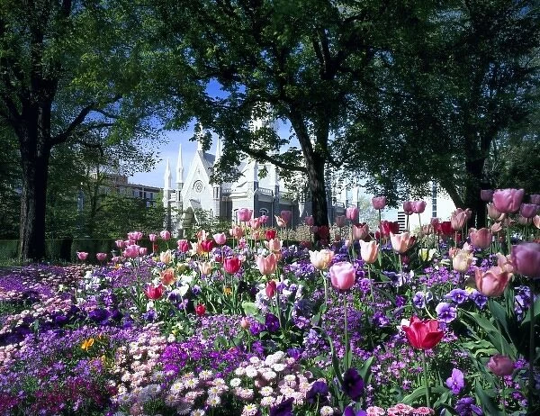 SALT LAKE CITY, UTAH. USA. Flowers in Temple Square. Assembly Hall in distance. Wasatch Front