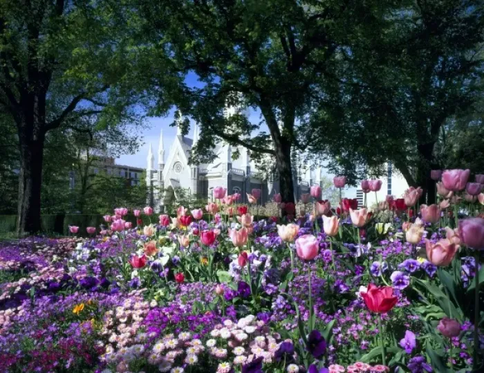 Framed Print : SALT LAKE CITY, UTAH. USA. Flowers in Temple Square. Assembly Hall in distance. Wasatch Front Framed Print : SALT LAKE CITY, UTAH. USA. Flowers in Temple Square. Assembly Hall in distance. Wasatch Front