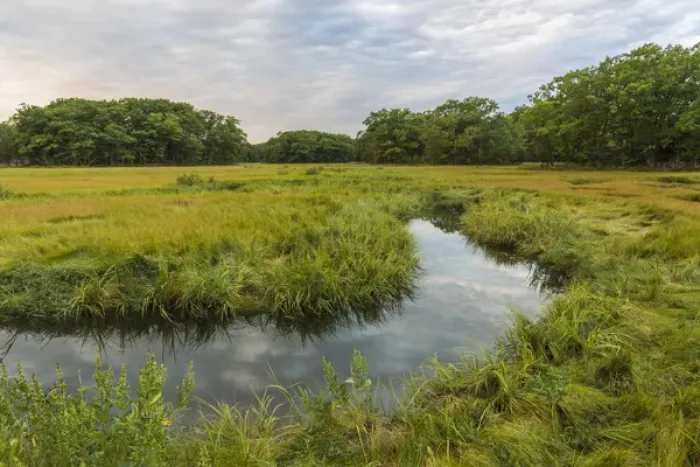 Framed Print : The salt marsh along the Castle Neck River in Ipswich, Massachusetts