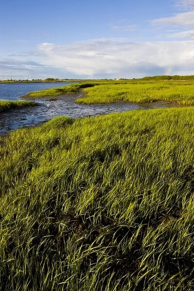 The salt marsh side of Long Beach in Stratford, Connecticut. This body of water is