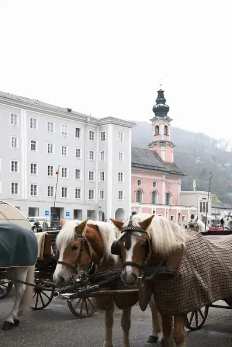 Framed Print : Salzburg, Salzburg, Austria - Horses and horse-drawn carriages in an old world setting