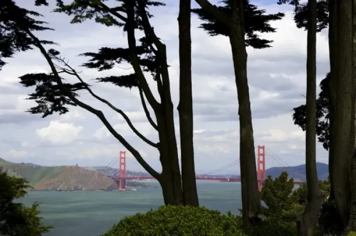 Framed Print : SAN FRANCISCO, CALIFORNIA. USA. View of Golden Gate Bridge from Lincoln Park Framed Print : SAN FRANCISCO, CALIFORNIA. USA. View of Golden Gate Bridge from Lincoln Park