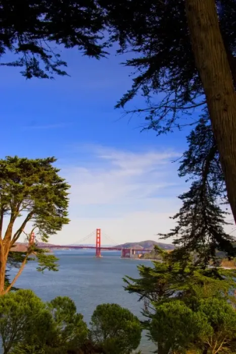 Framed Print : San Francisco Golden Gate Bridge framed by trees taken from Lincoln Park Framed Print : San Francisco Golden Gate Bridge framed by trees taken from Lincoln Park