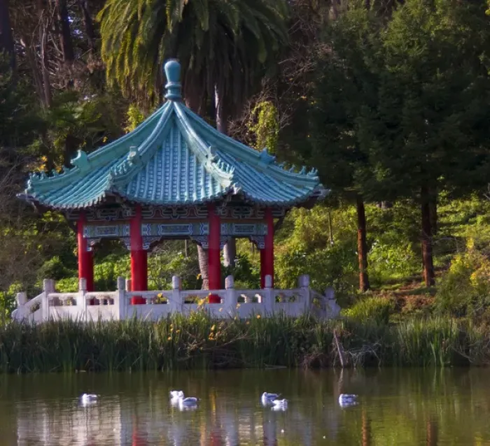 Framed Print : In San Francisco, Stow Lake with seagulls and rich greenery surround the Golden Gate