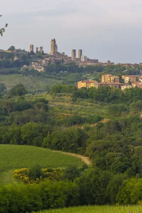 Framed Print : San Gimignano Skyline. Tuscany. Italy Framed Print : San Gimignano Skyline. Tuscany. Italy
