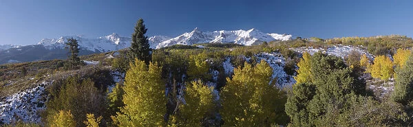 San Juan Mountains and Aspen trees in fallcolor at sunrise, Dallas Divide, Ouray