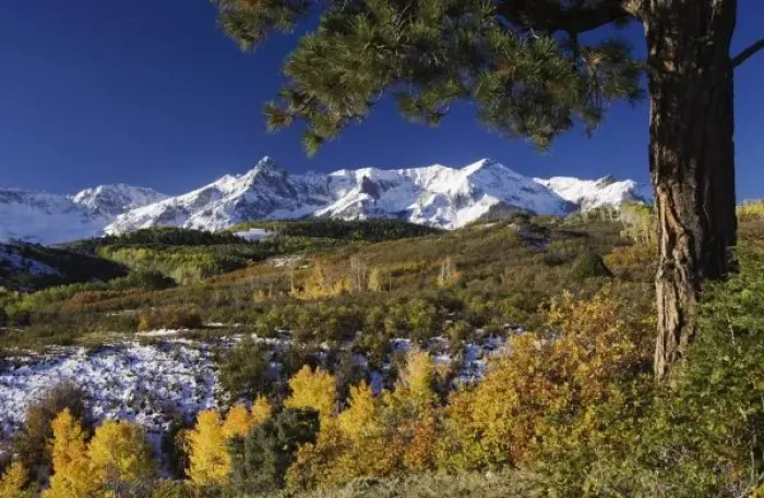 Framed Print : San Juan Mountains and Aspen trees in fallcolor at sunrise, Dallas Divide, Ouray