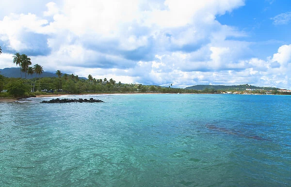 San Juan, Puerto Rico - Calm water is seen in the bay of a tropic island. Trees