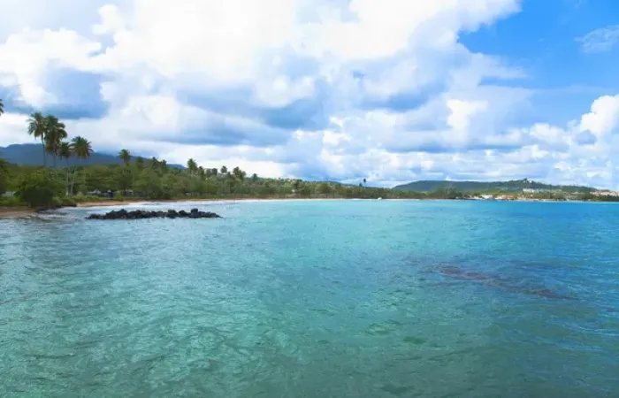 Framed Print : San Juan, Puerto Rico - Calm water is seen in the bay of a tropic island. Trees Framed Print : San Juan, Puerto Rico - Calm water is seen in the bay of a tropic island. Trees