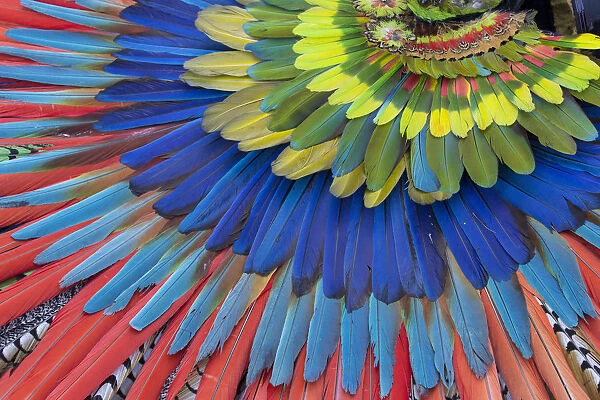 San Miguel De Allende, Mexico. Native feather headdress