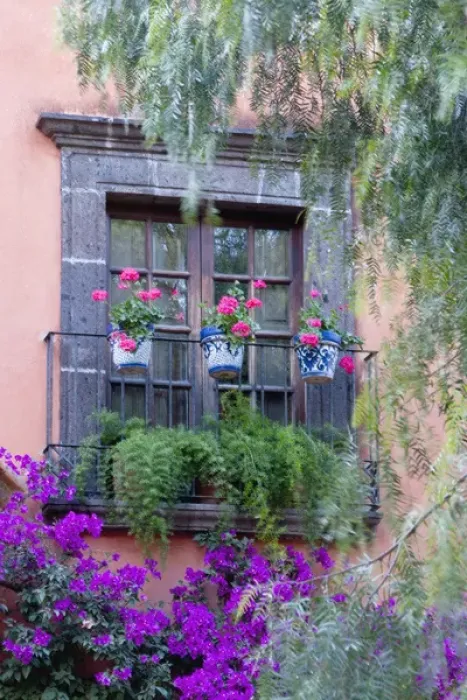 Framed Print : San Miguel de Allende, Window with geraniums and bougainvillia