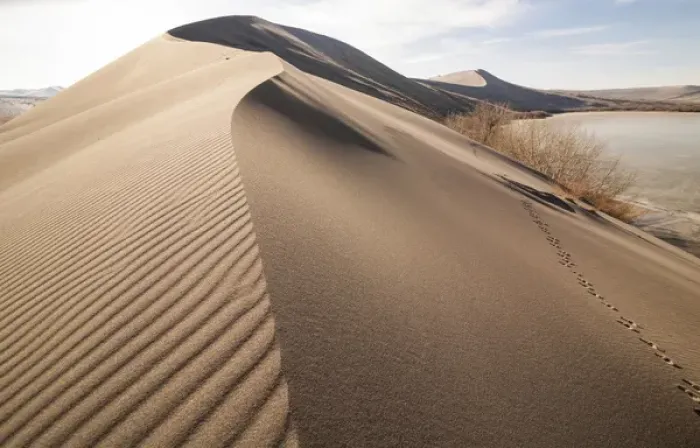 Framed Print : Sand dune formations. Bruneau Dunes State Park, ID