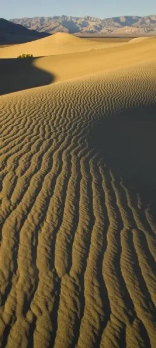 Framed Print : Sand Dunes Framed Print : Sand Dunes
