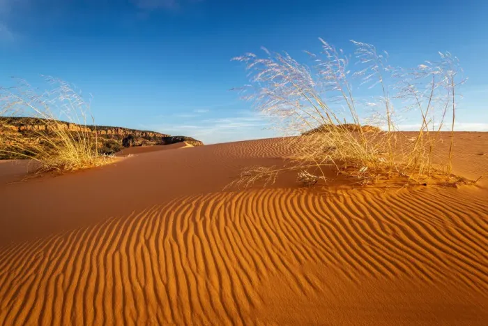 Framed Print : Sand dunes and grass, Coral Pink Sand Dunes State Park, Kane County, Utah, USA Framed Print : Sand dunes and grass, Coral Pink Sand Dunes State Park, Kane County, Utah, USA