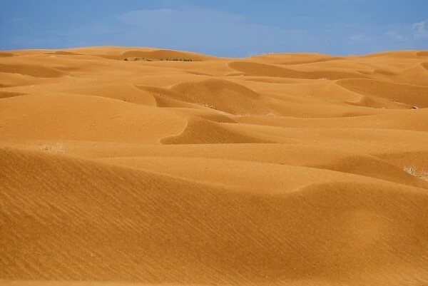 Sand dunes, Horseshoe Canyon Unit, Canyonlands National Park, Utah