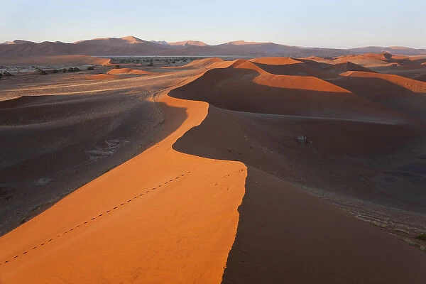 Sand dunes, Namib Naukluft National Park, Namibia