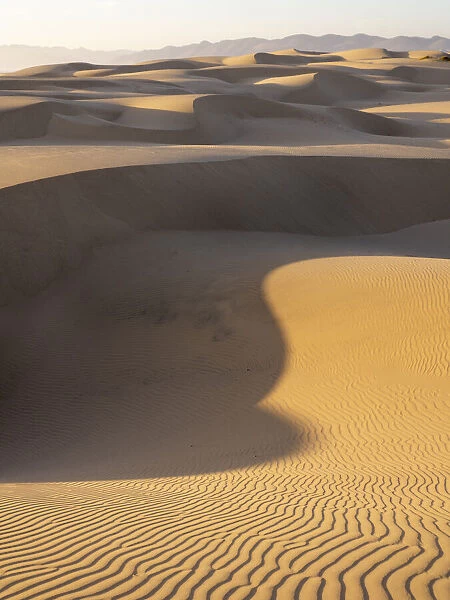 The sand dunes of Pismo Beach, California