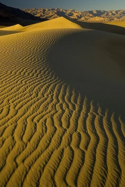 Sand Dunes and ripple desgins from the early morning light falling on the Dunes Mesquite