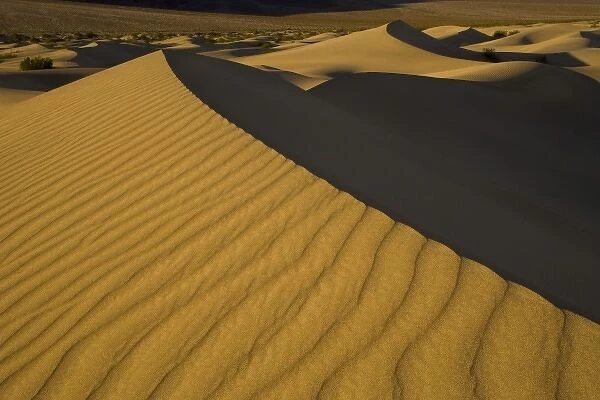Sand Dunes and ripple desgins from the early morning light falling on the Dunes Mesquite