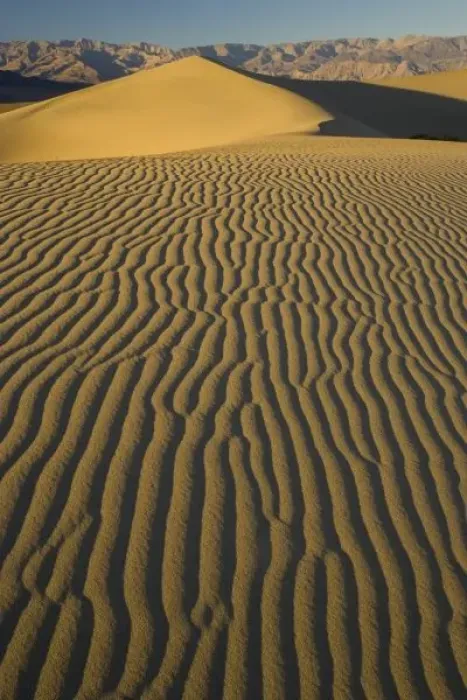 Framed Print : Sand Dunes and ripple desgins from the early morning light falling on the Dunes Mesquite Framed Print : Sand Dunes and ripple desgins from the early morning light falling on the Dunes Mesquite