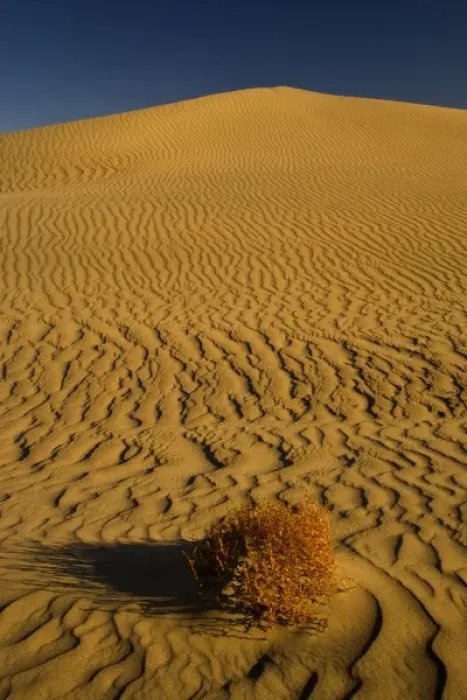 Framed Print : Sand Dunes and ripple desgins from the early morning light falling on the Dunes Mesquite