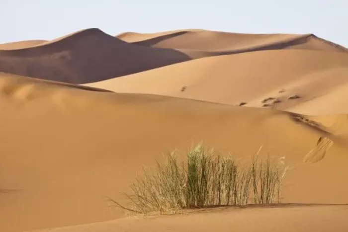 Framed Print : Sand dunes, Sahara desert, Morocco