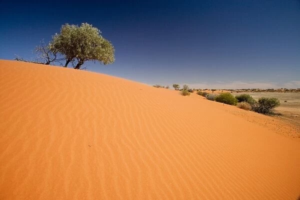 Sand Dunes, Strzelecki Track, Outback, South Australia, Australia
